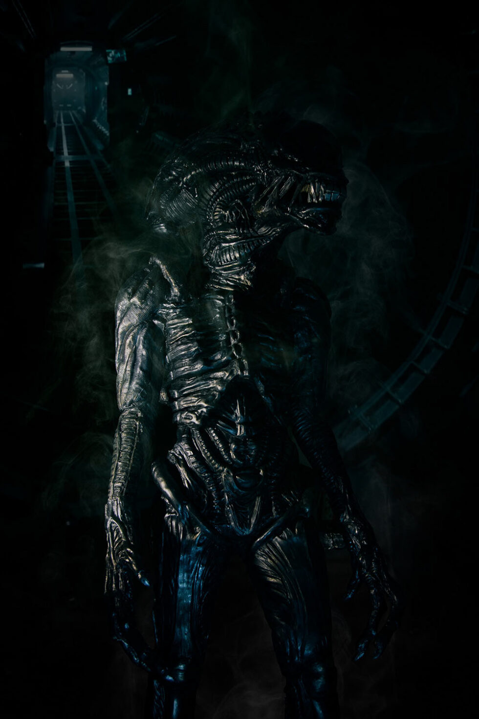 mi6-fineart-photography-zaragoza-alien_predator_02
